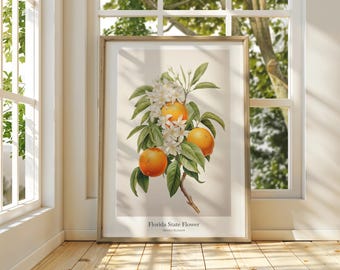 Orange Blossom Art Print: Florida State Flower, Botanical Wall Decor
