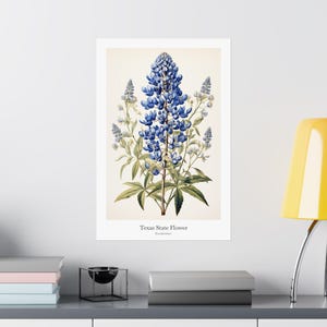 TEXAS State Flower, Bluebonnet Wall Art Poster, Matte Vertical Posters, Nature Flower Print, Museum Grade Paper, Beautiful Art Decor, Gift image 8