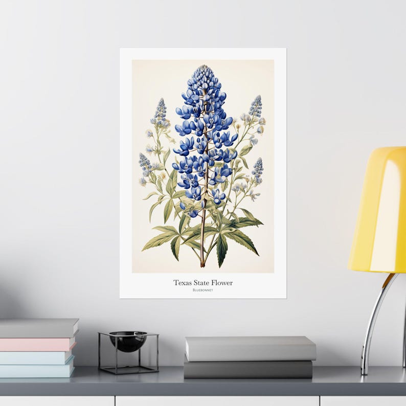 TEXAS State Flower, Bluebonnet Wall Art Poster, Matte Vertical Posters, Nature Flower Print, Museum Grade Paper, Beautiful Art Decor, Gift image 8