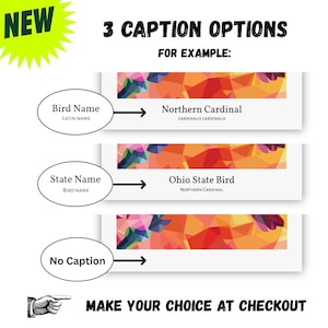 May include: Image showing three caption options for a product. The options include "Bird Name", "State Name", and "No Caption". Each option points to a design with a colorful geometric pattern. Text reads "Northern Cardinal" and "Ohio State Bird". The image also says "Make your choice at checkout".