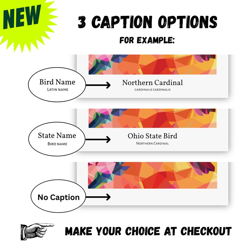 May include: Image showing three caption options for a product. The options include "Bird Name", "State Name", and "No Caption". Each option points to a design with a colorful geometric pattern. Text reads "Northern Cardinal" and "Ohio State Bird". The image also says "Make your choice at checkout".