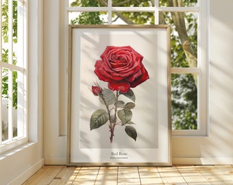 Red Rose Botanical Art Print: Elegant Floral Home Decor