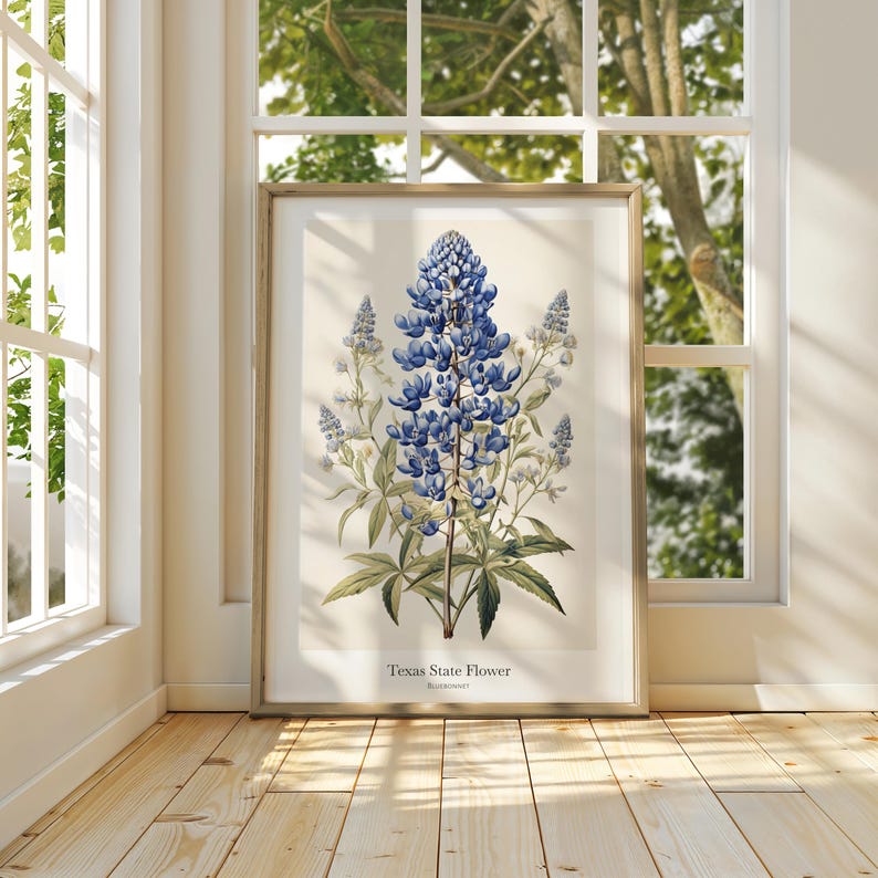 May include: A framed botanical print of the Texas State Flower, the bluebonnet. The artwork features a detailed illustration of the blue and white flowers with green leaves. The print is displayed in a light-coloured wooden frame, leaning against a wall near a window.