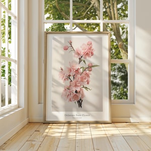 May include: A vintage botanical illustration of the Peach Blossom, the state flower of Delaware. The image features a delicate branch of pink blossoms with green leaves against a cream background. The text "Delaware State Flower" and "Peach Blossom" is printed below the image.