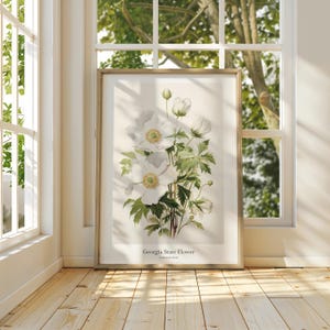 GEORGIA State Flower, Cherokee Rose Wall Art Poster, Matte Vertical Posters, Nature Flower Print, Museum Grade Paper, Beautiful Art Gift
