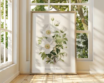 Cherokee Rose Art Print: Georgia State Flower, Botanical Wall Decor