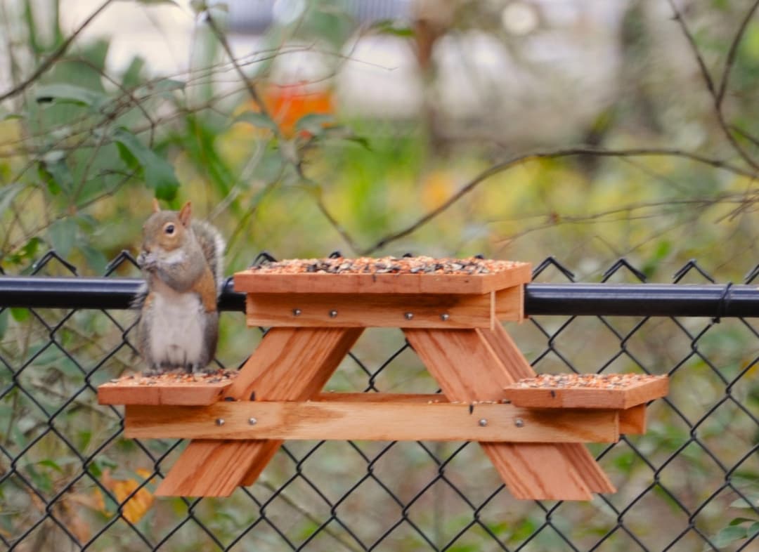 Cedar Picnic Table Bird/ Squirrel Feeder - Etsy