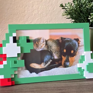 May include: Green picture frame with a pixelated green and white character on the left side and a pixelated green and white character on the right side. The frame contains a photo of a black and brown dog and a brown and white cat sleeping together.