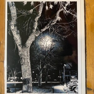 Árvore com lua cheia no centro de Colorado Springs, cartão de felicitações em branco preto e branco com envelope/capa protetora (A2 — 4,25” x 5,5”)