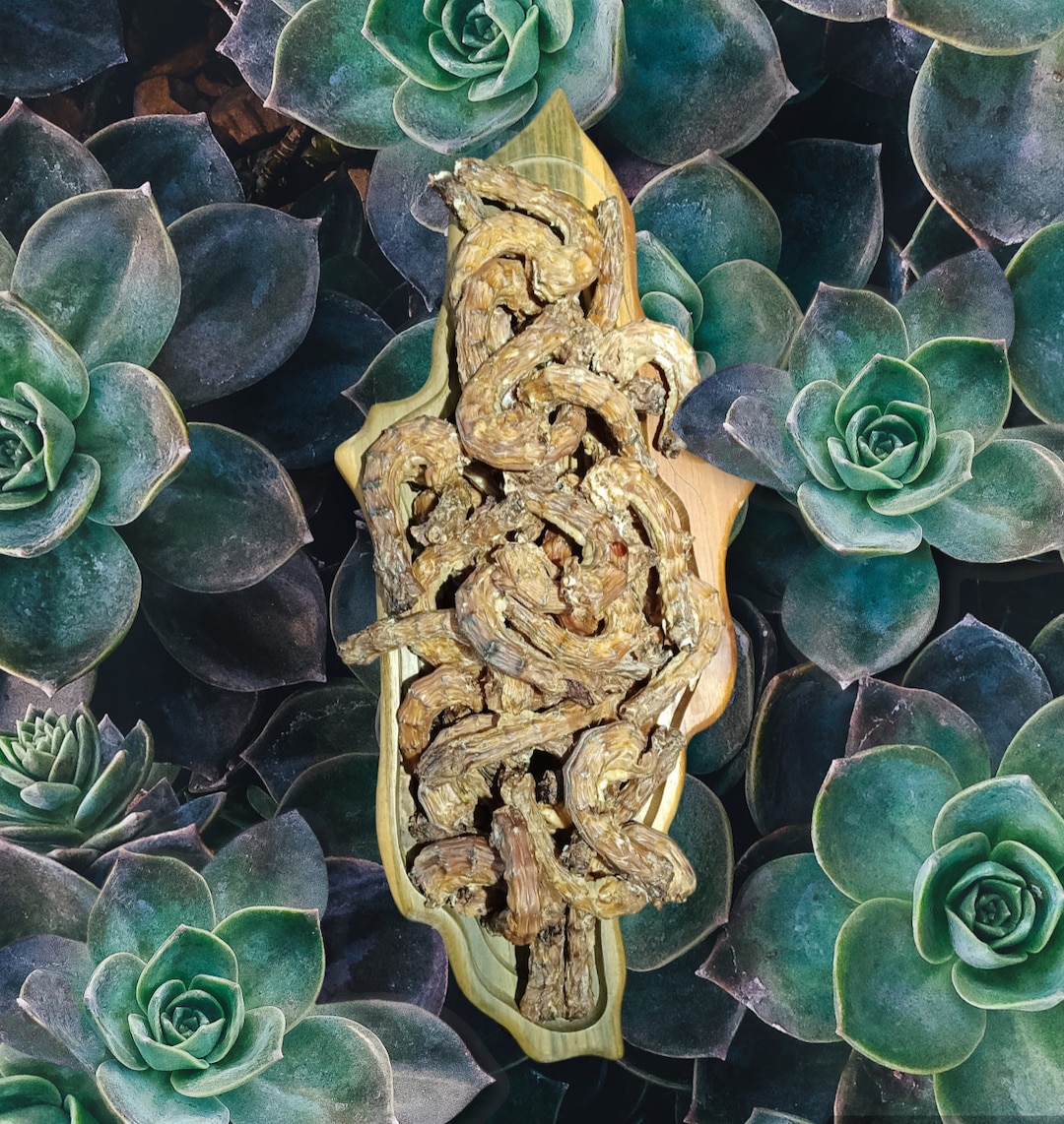 Dehydrated Chicken Necks UK