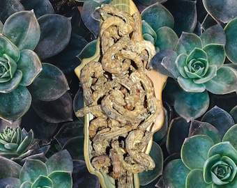 Getrocknete Hühnerhälse