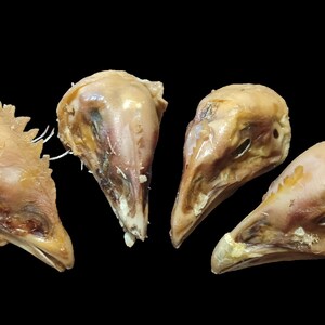 K&ouml;nnte beinhalten: Vier rohe H&uuml;hnerk&ouml;pfe mit Schn&auml;beln, Augen und Haut. Die K&ouml;pfe sind in einem Halbkreis auf schwarzem Hintergrund angeordnet.