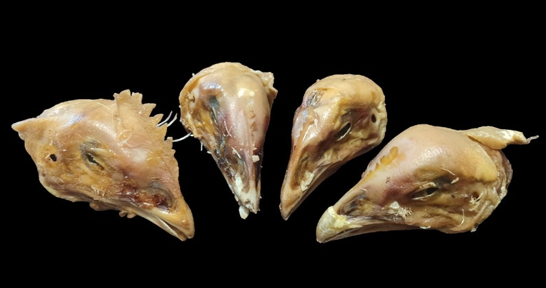 K&ouml;nnte beinhalten: Vier rohe H&uuml;hnerk&ouml;pfe mit Schn&auml;beln, Augen und Haut. Die K&ouml;pfe sind in einem Halbkreis auf schwarzem Hintergrund angeordnet.