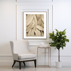 S/M Foglie di banana contemporanee / Illustrazione botanica / Decorazione foglia di banana / Foglia di banana / Estetica moderna / Arte contemporanea / Download
