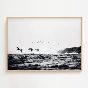 Pelicans Flying Over Ocean | Sea Life Art | Ocean Mammal Lovers | Monochrome Print | Nature Wall Decor | Coastal Marine Printable & Download