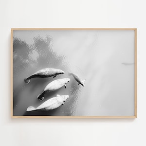 Manatees In Florida Bay | Sea Life Art | Ocean Mammal Lovers | Monochrome Print | Nature Wall Decor | Coastal Marine Printable & Download