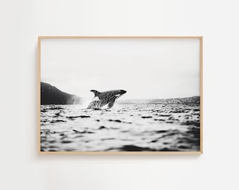Schwarz Weiß Orca | Meer Leben Kunst | Ozean-Säugetier-Liebhaber | Einfarbiger Wal-Liebhaber | Natur Meerestiere | Küstenwand druckbare | Herunterladen