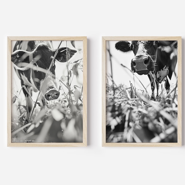 Farm Photography - Happy Grazing Pig Cow -Closeup Farm Life In Field - Monochromatic Countryside Photos - Dorm Room Decor - Digital Download