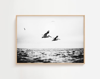 Pelikane fliegen nach Osten | Meer Leben Kunst | Ozean-Säugetier-Liebhaber | Einfarbiger Druck | Natur Wanddekor | Küsten Marine druckbare und herunterladen