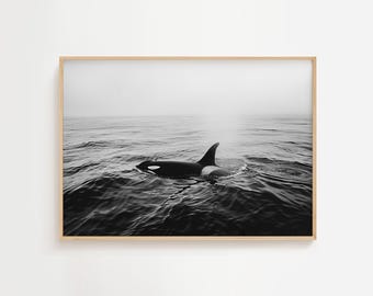 Black White Orca Swimming | Sea Life Art | Ocean Mammal Lovers | Monochrome Print | Nature Wall Decor | Coastal Marine Printable & Download