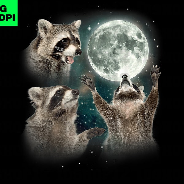 3 Racoons howling at the Moon PNG, Funny Raccoon Meme PNG, Sublimation Design PNG, Instant Download