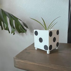 May include: A white, square planter with black polka dots and short, white legs. The planter holds a small green plant with long, thin leaves. The planter sits on a brown wooden surface.