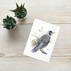 Carte de voeux d'oiseau indigène australien, mineur bruyant, aquarelle, cartes pour toutes les occasions, carte vierge, art d'oiseau,