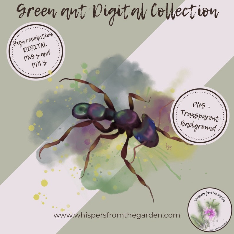 Watercolor Ant Art Printable Clip Art Files, Digital Planner, Pdf ...