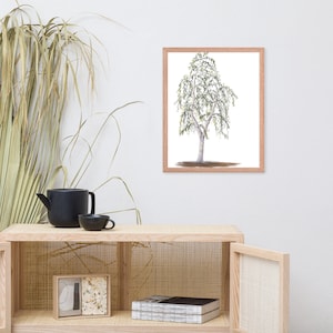Australian weeping gum tree, Australian Framed Art Print, eucalyptus tree, Australian artwork, Australian native design, gifts for gardeners