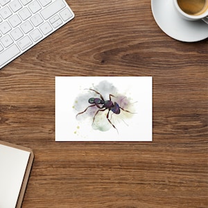 Biglietto di auguri con formica ad acquerello, arte degli insetti, arte nativa australiana, biglietti di auguri per giardinieri, opere d'arte di insetti australiani, arte ad acquerello,