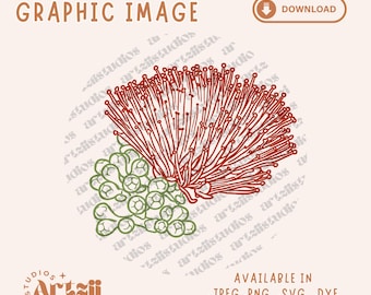 Ohia Lehua Flower Graphic SVG PNG (Digital Download)