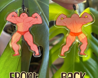 Double Sided Acrylic Keychains - Kirby, Pokémon, moth and more