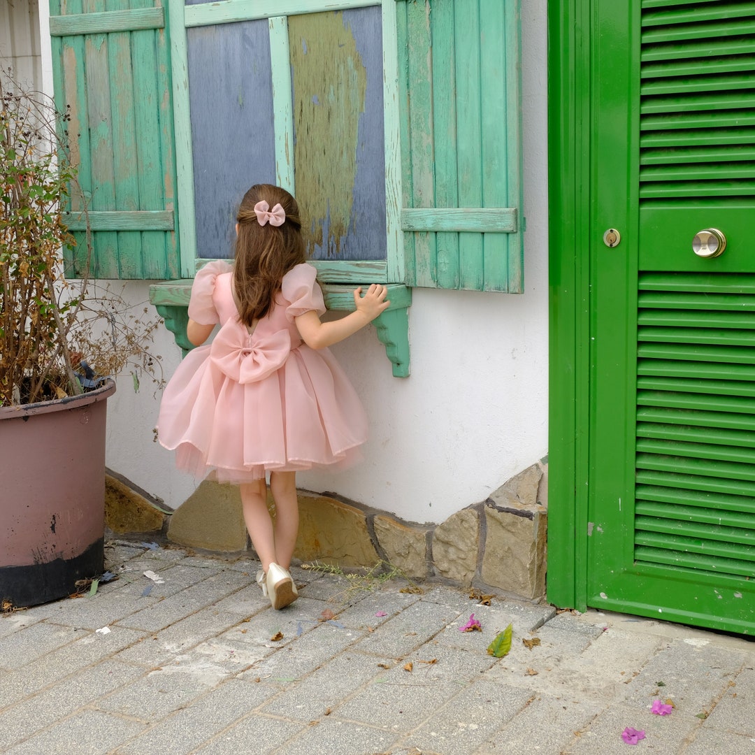 Blush Girl Dress, Baby Girl Birthday Dress, Flower Girls Dusty Rose