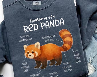 Bluza z Anatomią Czerwonej Pandy, zabawny prezent dla miłośnika zwierząt, wygodna koszulka z czerwoną pandą, estetyczny okrągły dekolt Kawaii, C694