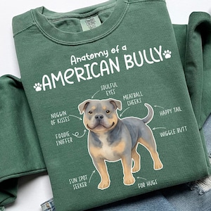 Puede incluir: Sudadera verde con el texto "Anatomy of a AMERICAN BULLY" y un gráfico de un perro. El gráfico etiqueta las características del perro, incluyendo "Soulful Eyes" y "Happy Tail". La sudadera está doblada sobre unos vaqueros azules.