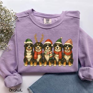 May include: Orchid-colored sweatshirt featuring a graphic of five Bernese Mountain Dogs dressed in festive holiday attire. Each dog wears a different hat, scarf, and string of lights. The sweatshirt has a crew neck and long sleeves.