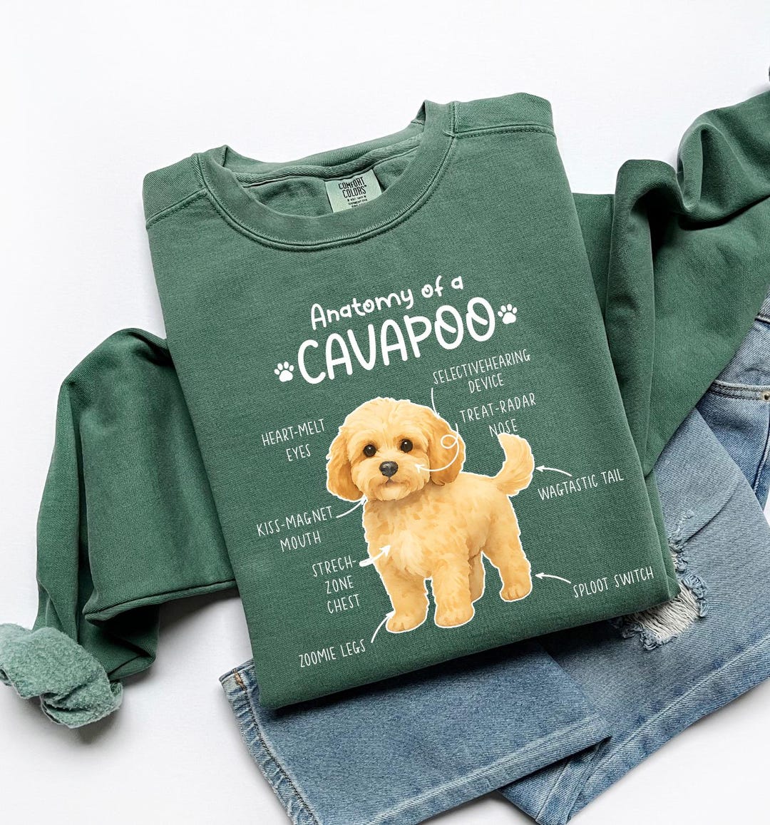 Anatomy of A Cavapoo Sweatshirt, Funny Cavapoo Dog Lover Gift, Cavapoo ...