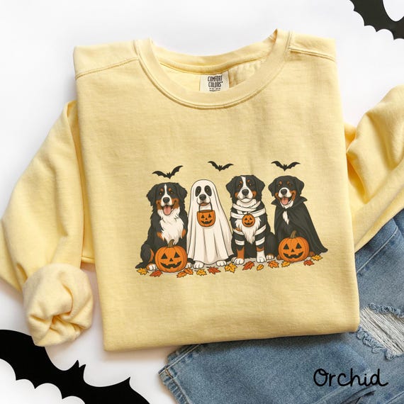 Sweat à Capuche Halloween Bouvier Bernois - Design Citrouille Et Squelette - Pour Fans De Chiens - Unisexe
