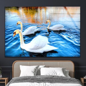 Tempered Glass Art, Glass Printing Art, Tempered Glass Wall Art, Wild Animal glass art prints, Swan Wall Art, Swan Wall Art