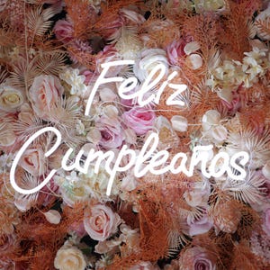 Feliz Cupleanos Leuchtreklame, Spanische Geburtstagskuchenwandkunst, Geburtstags-LED-Neonlicht, Hauptdekor-Raumwand-Dekor-Party-Kulisse