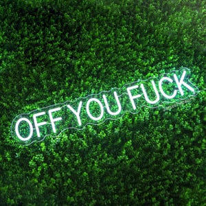 Off You Fuck neon sign, Entryway wall art, Novelty neon light, Funny Quote Wall Sign, housewarming gift, quirky home interior decor image 5