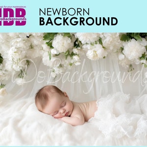 Newborn digital backdrop, soft white flowers baby Spring Floral Composite digital background, Prop Backdrop, prop Digital Photo background