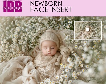 Newborn Daisy Digital Backdrop, Baby & Bear, Face Insert (PNG)