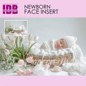 Newborn digital backdrop Face insert, PNG Newborn Photography, Add baby angel face Digital Photo Prop Composite, Baby Girl & Tulip Floral