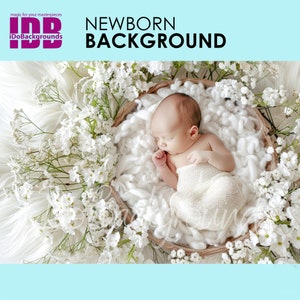 Newborn digital backdrop, Spring White Floral Composite digital photo background, Prop Backdrop, photo Background, Digital Photo Backdrop