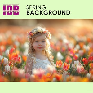 Tulip Spring flowers digital background, Spring Composite digital photo backdrop, Sunset Soft Focus, portrait digital photography Background