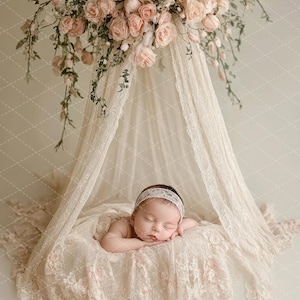 Puede incluir: Un beb&eacute; reci&eacute;n nacido durmiendo pl&aacute;cidamente en una cama con dosel de encaje blanco decorada con rosas rosas. El beb&eacute; lleva una diadema blanca y un vestido de encaje blanco.