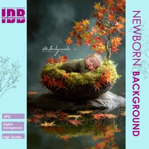 Op de afbeelding: Een slapende pasgeborene rust in een met mos gevuld nest, versierd met herfstbladeren en een kleine boom. De scène speelt zich af tegen een donker, reflecterend wateroppervlak, met de tekst "NEWBORN BACKGROUND" en "iDoBackgrounds".