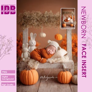 May include: A newborn baby wearing an orange outfit and a bear hat, sleeping on a pillow inside a wooden structure. The scene is decorated with pumpkins, hanging gourds, and stuffed bunnies. The image is labeled "NEWBORN FACE INSERT" and "iDoBackgrounds".