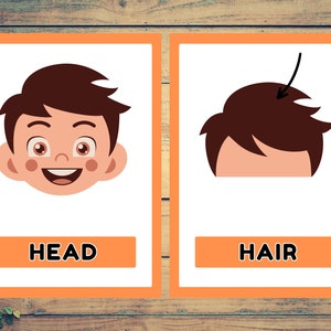 Flashcard sull'educazione corporea per bambini, apprendimento sull'educazione corporea, colorate, carte sulla conoscenza del corpo Apprendimento divertente, carte sull'educazione corporea per studenti